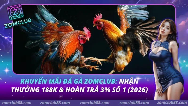 Khuyến mãi đá gà Zomclub