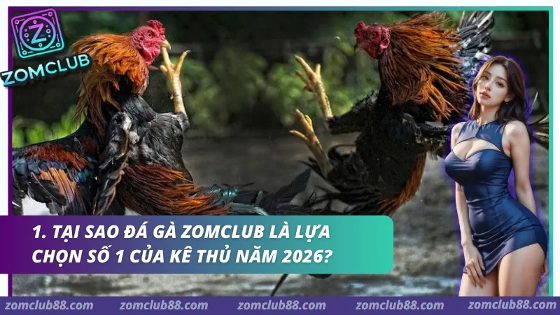 Hình ảnh Kinh Nghiem Da Ga Zomclub 1 trong bài viết Kinh Nghiệm Đá Gà Zomclub - Quan Sát Trận & Quản Lý Vốn 2026. Kinh nghiệm đá gà Zomclub qua cách quan sát chiến kê Meron Wala BDD và trạng thái trận