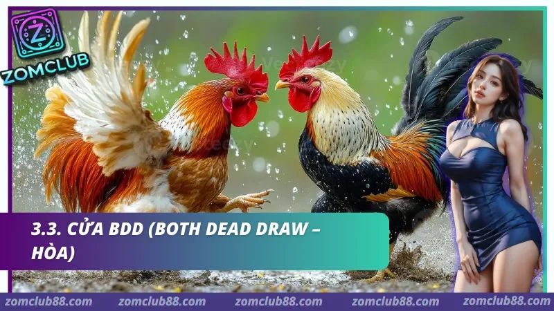 Hình ảnh Kinh Nghiem Da Ga Zomclub 3 trong bài viết Kinh Nghiệm Đá Gà Zomclub - Quan Sát Trận & Quản Lý Vốn 2026. Những lỗi người mới thường gặp khi xem đá gà Zomclub như theo đám đông tăng vốn để gỡ và thao tác khi video lag