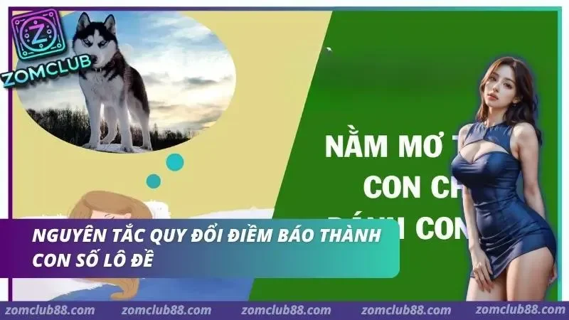 Cách ghi lại giấc mơ theo hình ảnh hành động bối cảnh và cảm xúc trước khi tra sổ mơ lô đề Zomclub