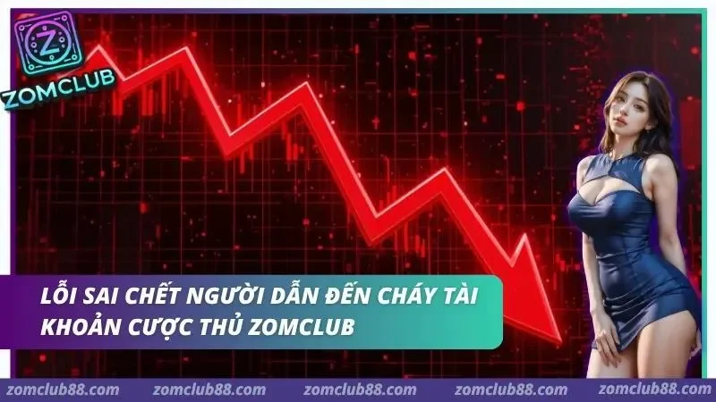 Hình ảnh Tai Xiu Md5 Zomclub 8 1 trong bài viết Tài Xỉu MD5 ZOMCLUB: Giải Mã Thuật Toán Và Bí Kíp Soi Cầu. Lỗi sai ngớ ngẩn khiến tiền bốc hơi trong phút chốc
