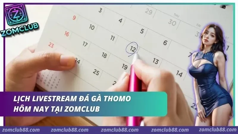 Hình ảnh Xem Da Ga Thomo Truc Tiep Zomclub 2 1 trong bài viết Xem Đá Gà Thomo Trực Tiếp ZomClub - Lịch & Cách Xem 2026. Lịch livestream đá gà Thomo ZomClub hiển thị trạng thái trận phòng phát sóng và thời gian cập nhật
